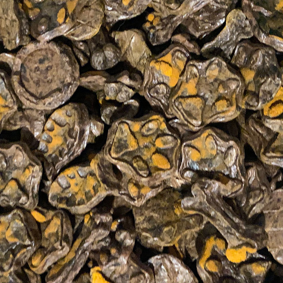 Thumbnail: Turmeric Lamb Liver Bites(Superfood Training Treats)