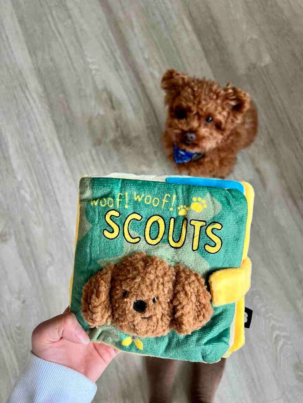 Thumbnail: Pet Snuffle Book