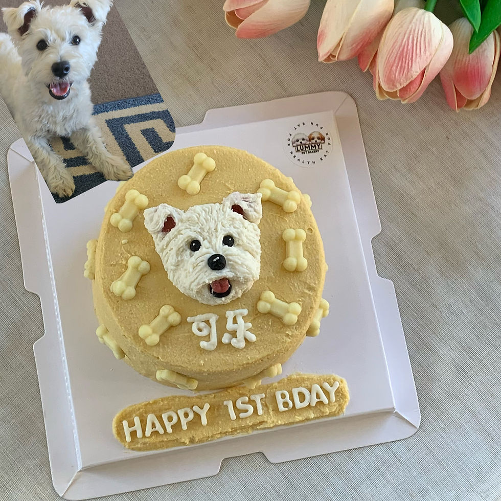 Thumbnail: Lummy Signature Bone Portrait Cake | 100% Meat Base