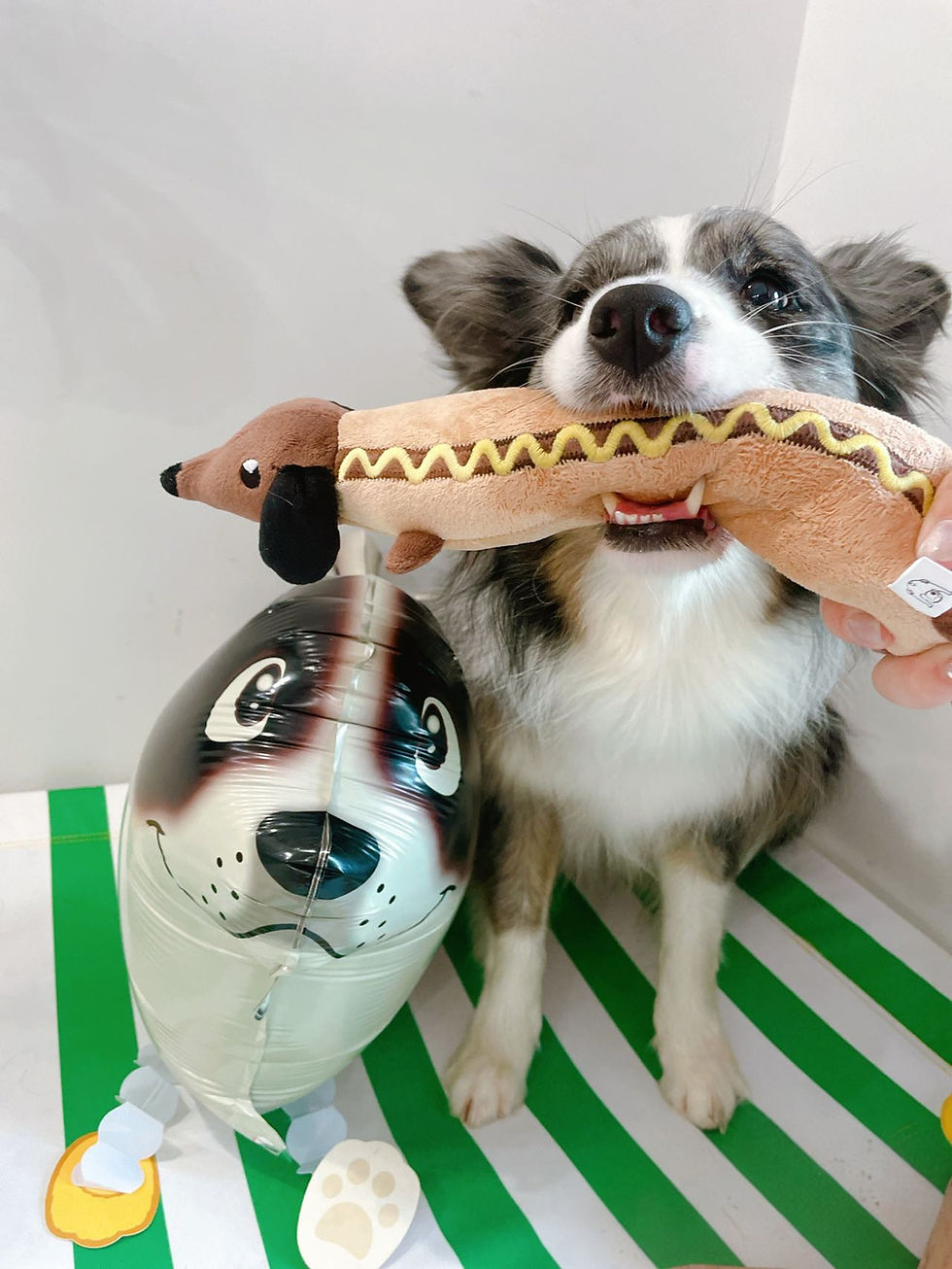 Thumbnail: Hot dog toy