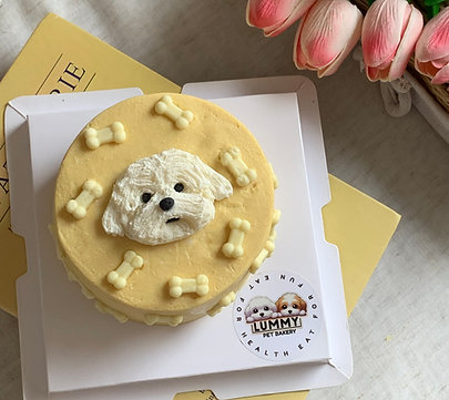 Lummy Signature Bone Portrait Cake | 100% Meat Base
