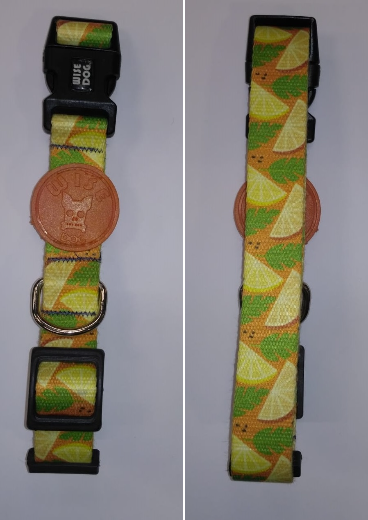 Miniatura: Collares WIse Dog