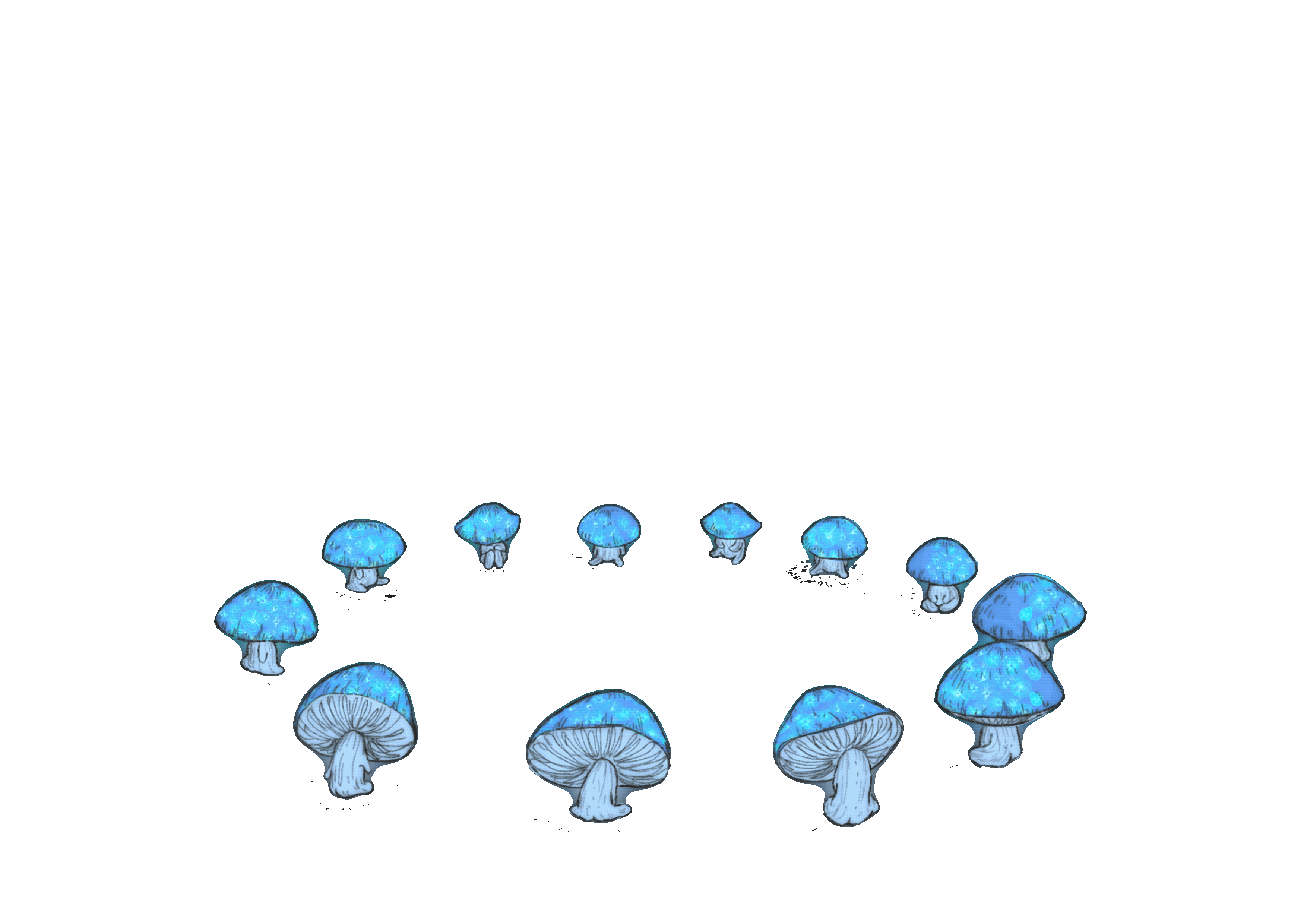 IMG_1664.GIF