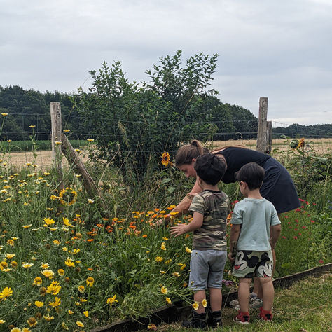 drie dagen Buitenbende