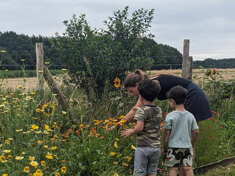 drie dagen Buitenbende