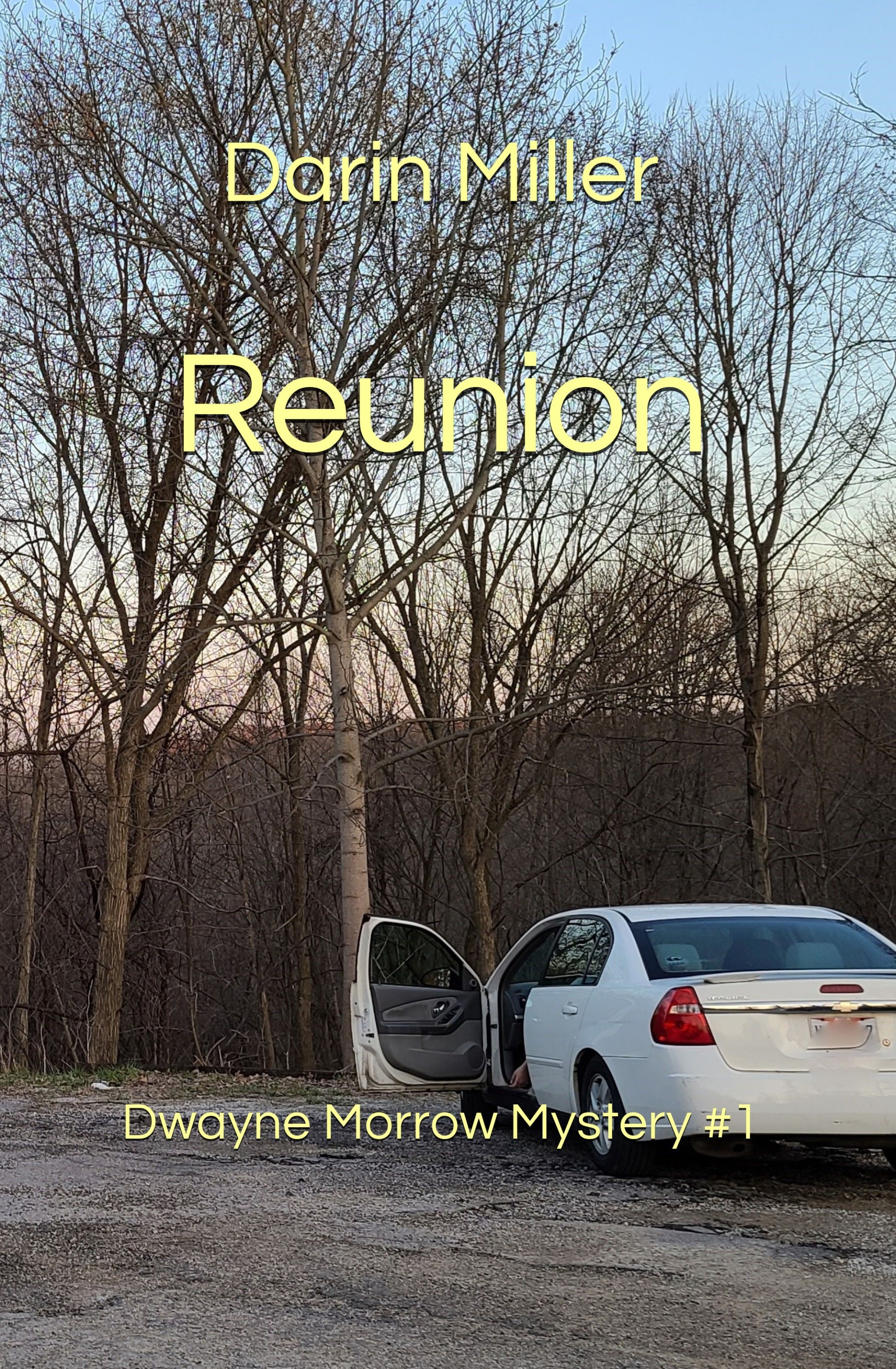 Reunion: Dwayne Morrow Mystery #1 - Hardcover - OG Cover