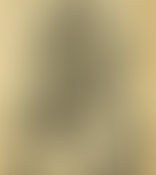 Das Werk des Saturns - Hollandus Teil 1