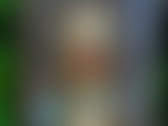 Alchemist Robert Allen Bartlett