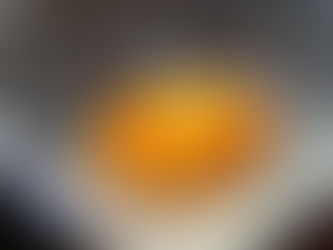 Opera Vegetabilia - Der Stein