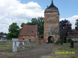 SDC19563