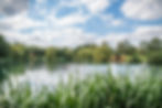 04A68ED2-9C77-427F-A86C-6454913B7D06.jpeg