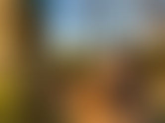 Pentref Luxury Camping Review