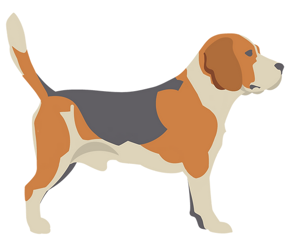 Rossco_Profile-transp-R.png