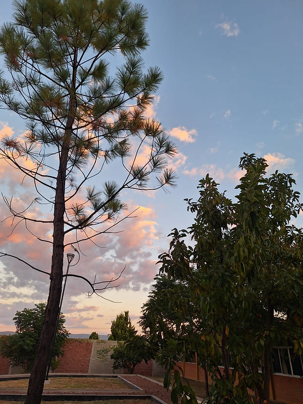 WhatsApp Image 2025-05-01 at 7.30.10 PM (1).jpeg