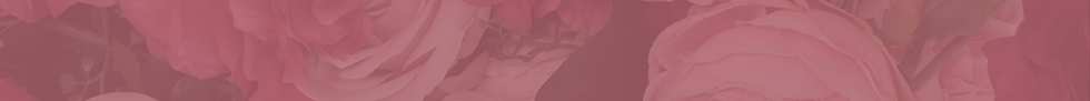 Untitled design (9).png