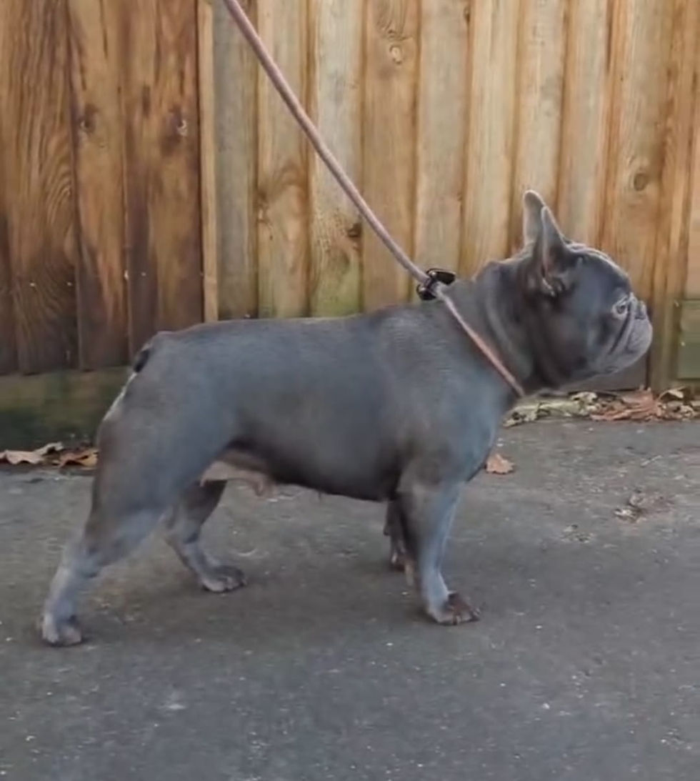 WhatsApp Image 2025-12-01 at 10.08.12.jpeg