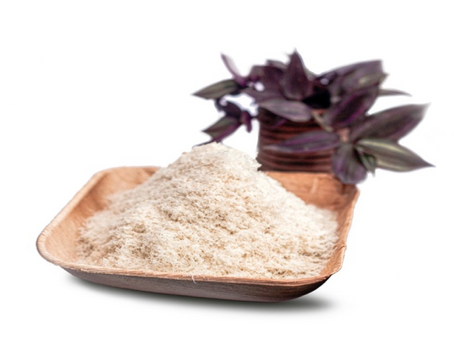 Best Long-Lasting Dog Chews for Large Breeds