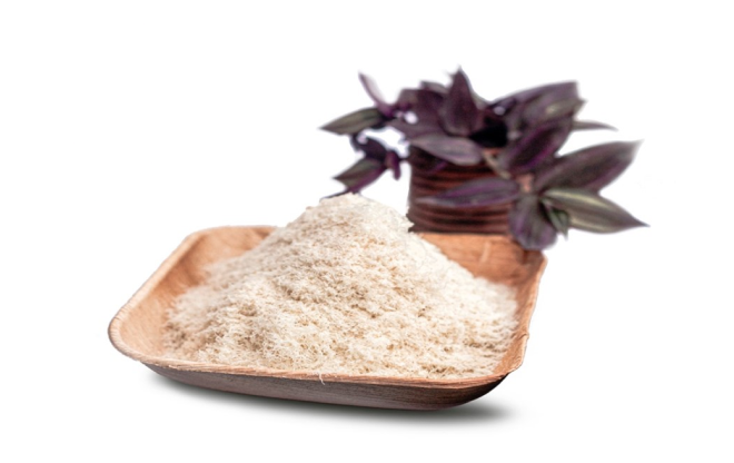 Top 10 Senior Dog Health Solutions Backed by Science