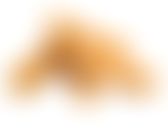 Top 10 Long-Lasting Dog Chews to Keep Your Dog Busy