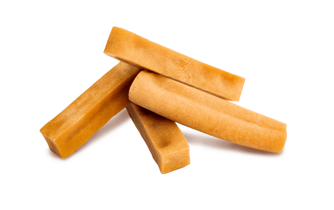 Top 10 Dog Chews to Keep Your Dog Busy