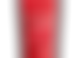 Best Long-Lasting Dog Chews for Large Breeds