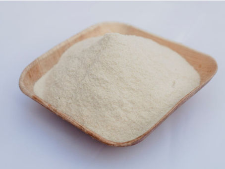 Best Puppy Chews Made in the USA