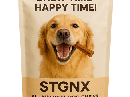 Top 10 Dog Joint Health Tips Every Dog Owner Should Know