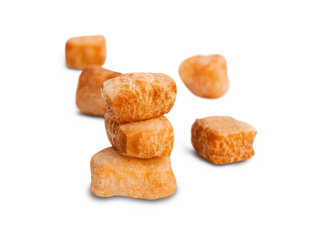 Vet-Approved Canine Nutrition Every Dog Owner Should Know