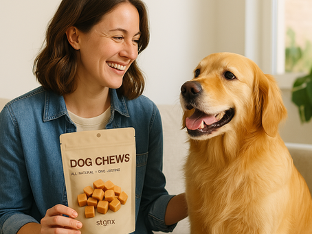 Top 10 Long-Lasting Dog Chews That Actually Work