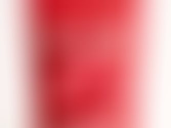 Everything You Need to Know About Digestible Dog Chews for Heavy Chewers