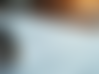 Exploring Trust Funds: A Comprehensive Guide