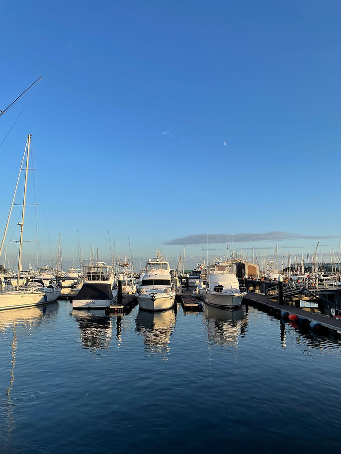 iOS の画像 (1).jpg