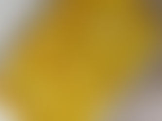 ESPÁRRAGOS BLANCOS FRESCOS GRATINADOS 