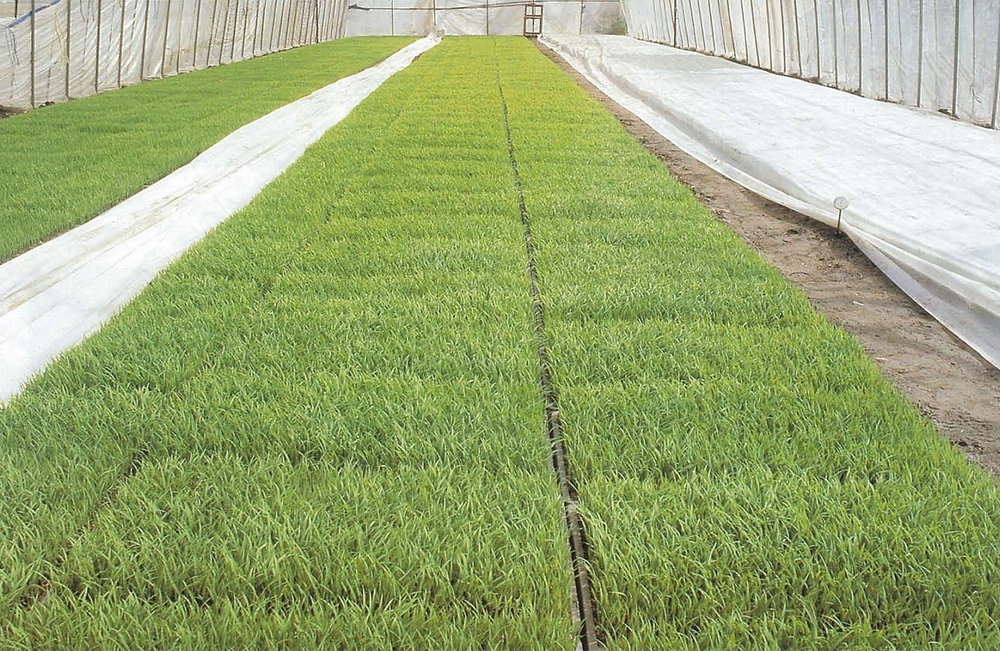 農作物の良きパートナー「ユニチカ ラブシート」