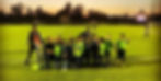 20250218_094917_3BF59B_edited.jpg