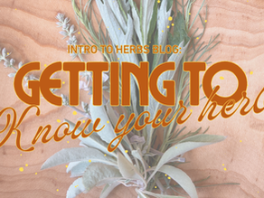 Intro to Herbs Blog: Getting to Know your Herbs