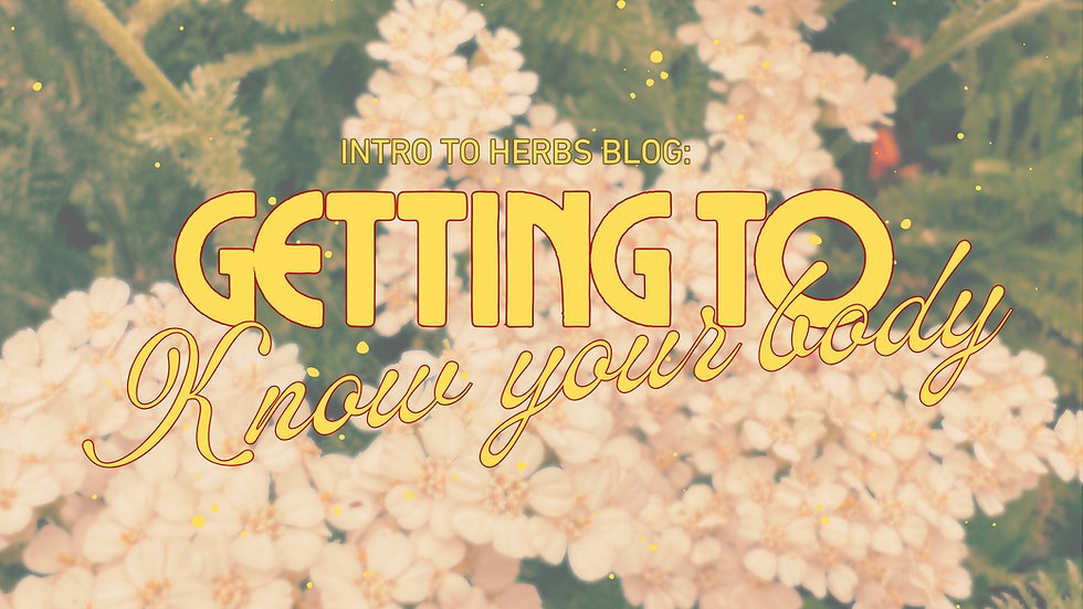 Intro to Herbs Blog: Getting to Know Your Body with flowers in the background