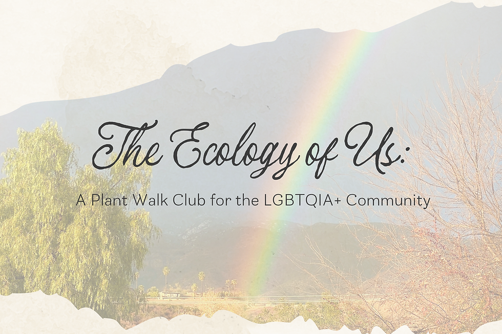 The Ecology of Us: A Plant Walk Club for the LGBTQIA+ Community