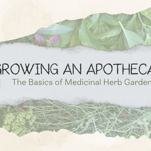 Growing and Apothecary: The Basics of Medicinal Herb Gardens