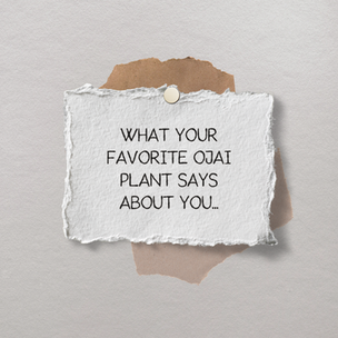 What does your favorite Ojai plant say about you?