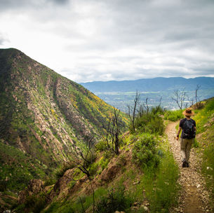 A photograph of a person walking on a hillside trail surrounded by greenery and wildflowers