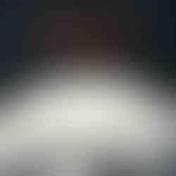 1978 Canada 25-cent, Caribou, Small Denticles, Circulation