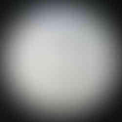 2012 Canada 25-cent, Caribou, Circulation