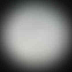 2019 Canada 50-cent, Coat of Arms, Circulation