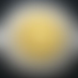 2006 Canada Two-dollar, Churchill Bear, Circulation