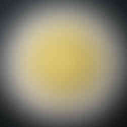 2012 Canada Two-dollar, Polar Bear, New Generation, Circulation