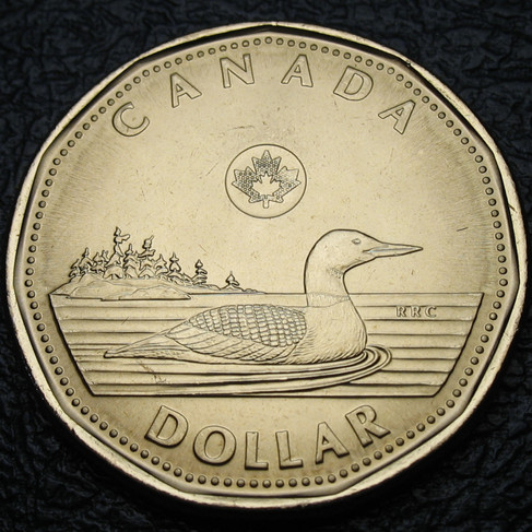 2024 Canada One Dollar, Loon, Circulation