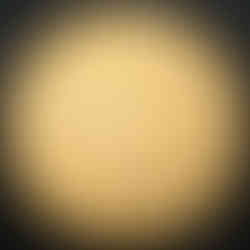 2006 Canada One Dollar, Loon, Circulation