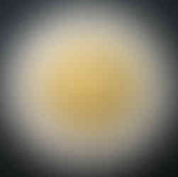 2006 Canada Two-dollar, Polar Bear, RCM Logo Single Date Obverse, Circulation