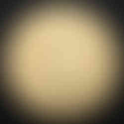 2017 Canada One Dollar, Toronto Maple Leafs Centennial, Circulation